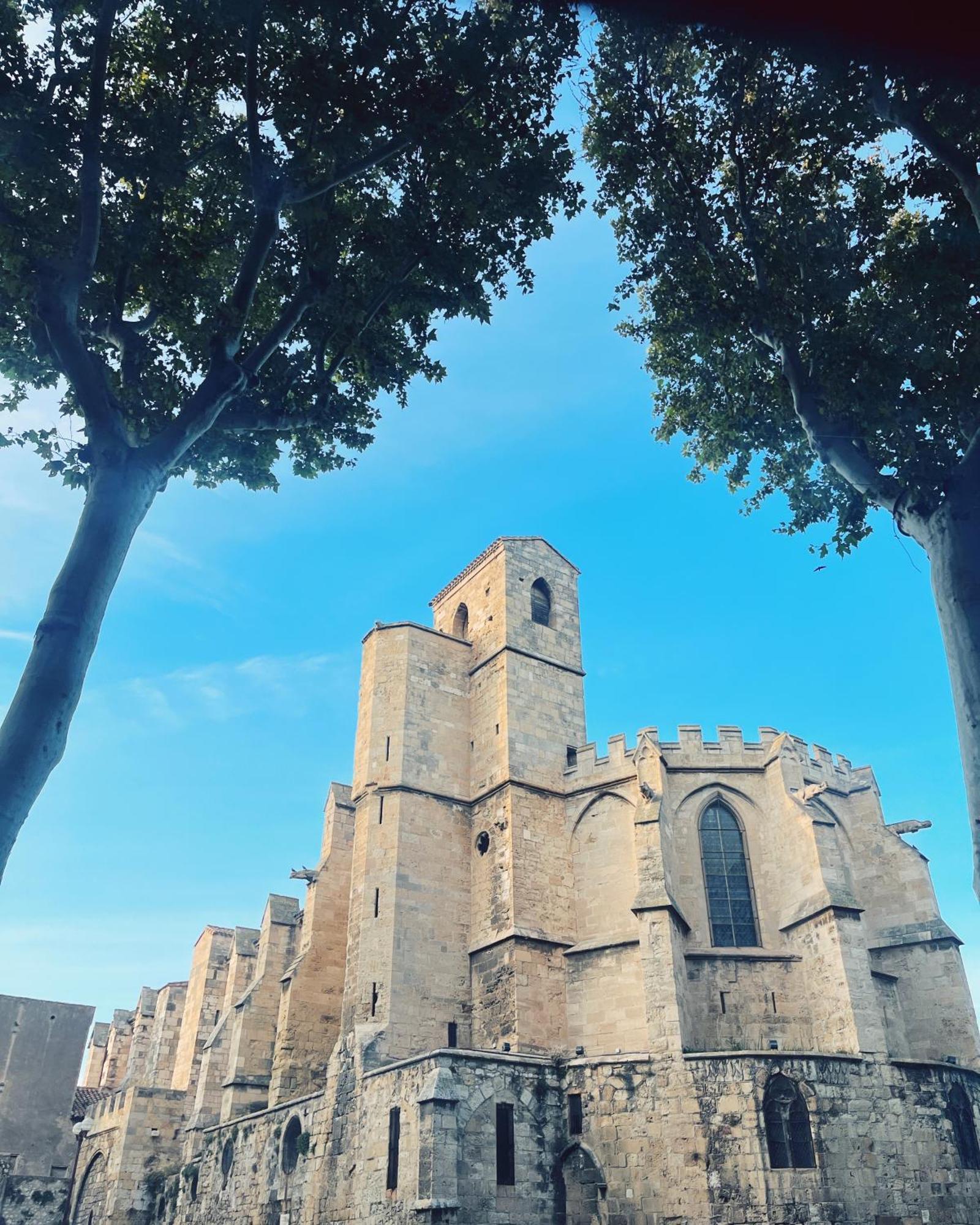 Appartement Chez Rose Narbonne Bagian luar foto