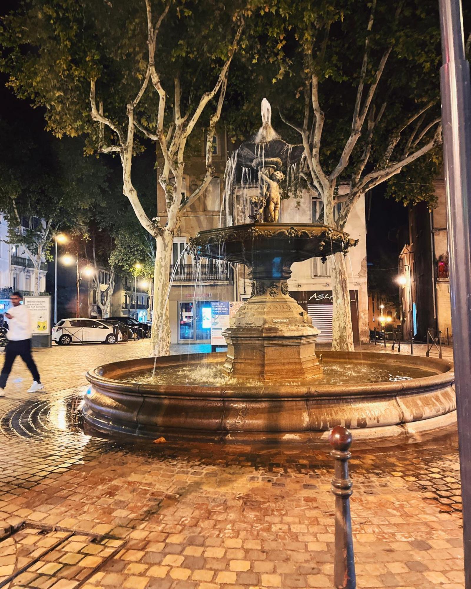 Appartement Chez Rose Narbonne Bagian luar foto